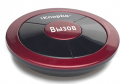 Кнопка вызова APE310