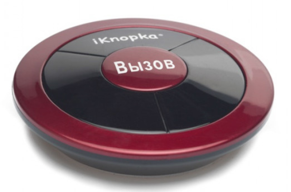 Кнопка вызова APE310