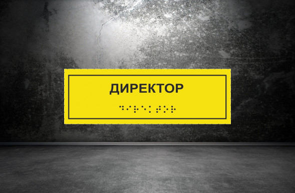 Тактильная табличка со шрифтом Брайля "Директор" 100х300мм