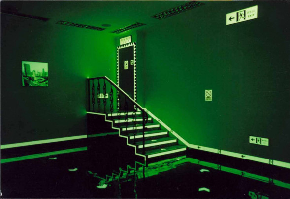 Фотолюминесцентная лента GloBrite 7560RU Black Stripe